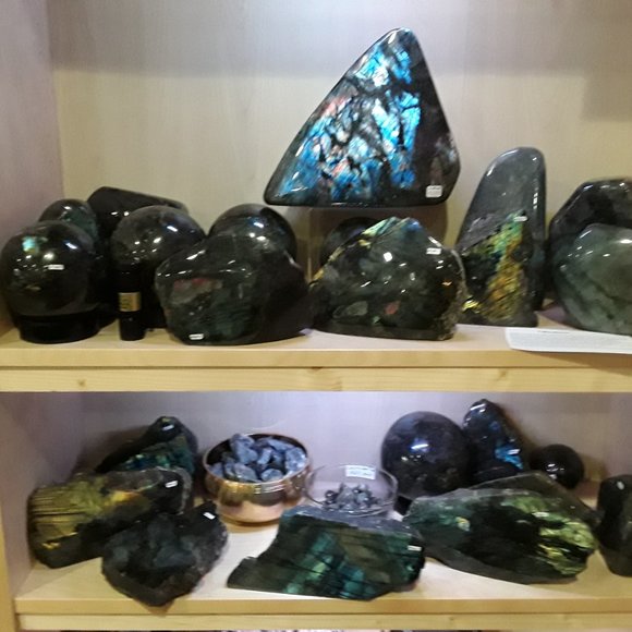 Rose ๐น - Picture 2 of 3